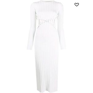 Dion Lee X-braid reversible dress